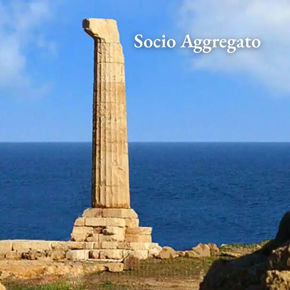 Socio Aggregato